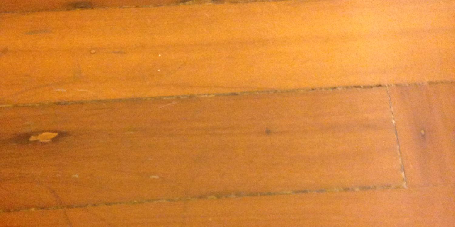 BrynnyRumfallo's profile banner image