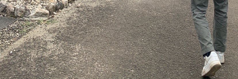 Siardehh's profile banner image