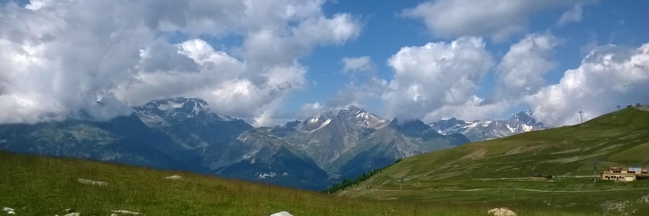 jibli baguetta bittomobil tomatique. banner