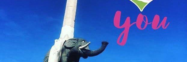 igers_catania's profile banner image
