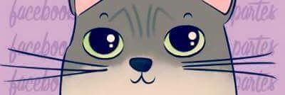 Domingasnc's profile banner image