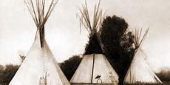 Crow_Tribe's profile banner image