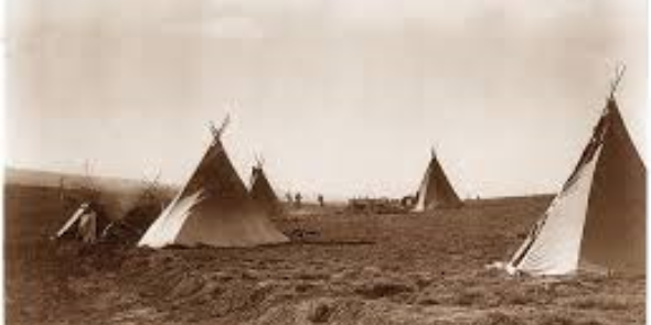 _Nez_Perce_'s profile banner image