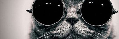StefaniNick's profile banner image