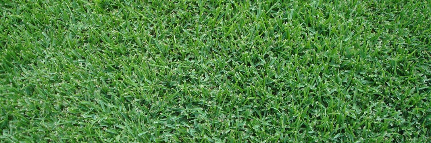 Fantasy Sports banner