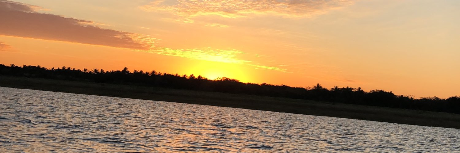 guiisimiao's profile banner image
