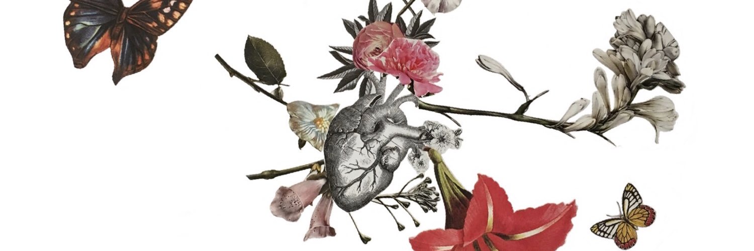 aehlm's profile banner image