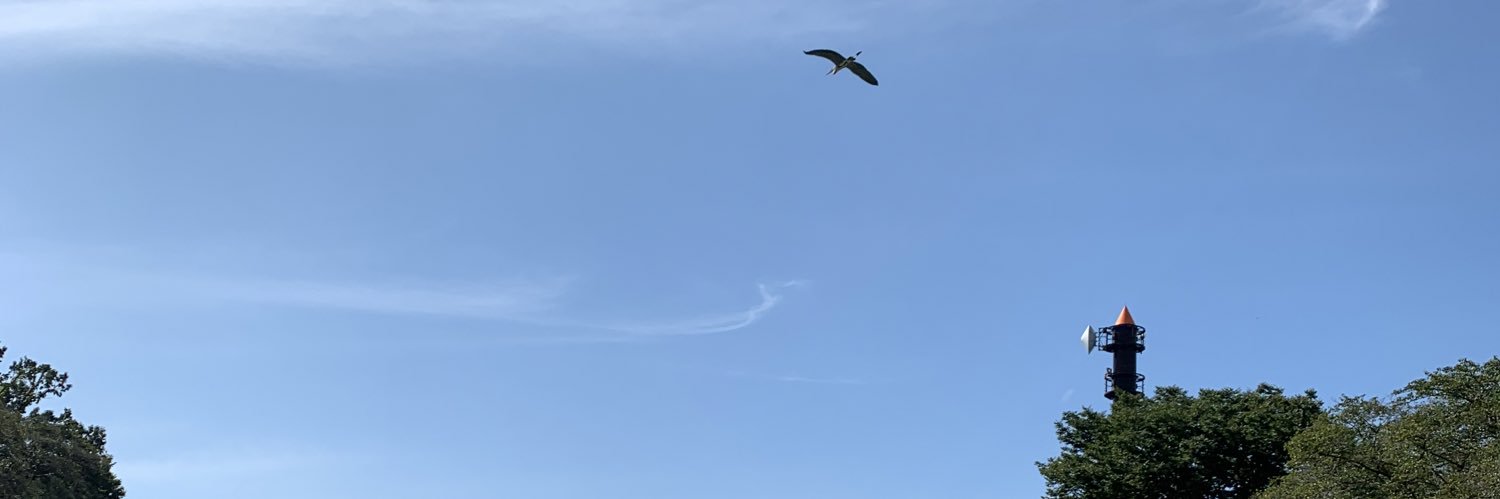 pira0310's profile banner image
