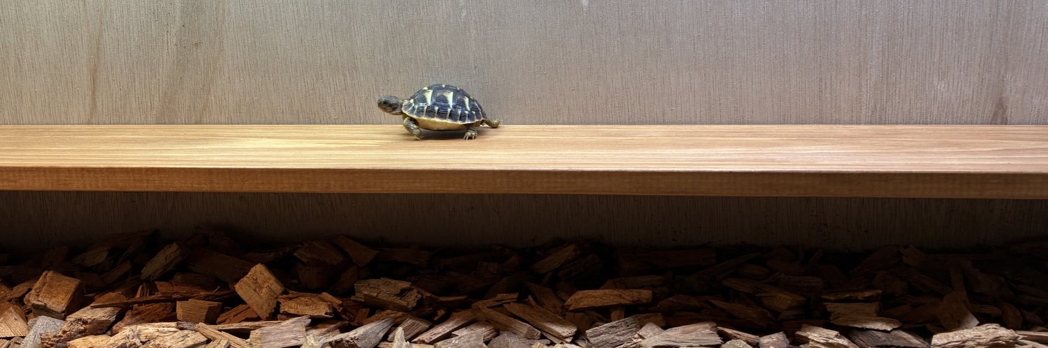 🥦🍅🌽🍆🍄🥕🧅 banner