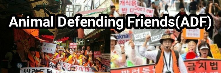 Animal Defending banner