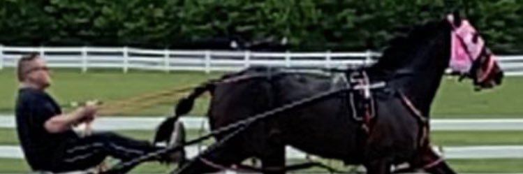 punterscorner's profile banner image