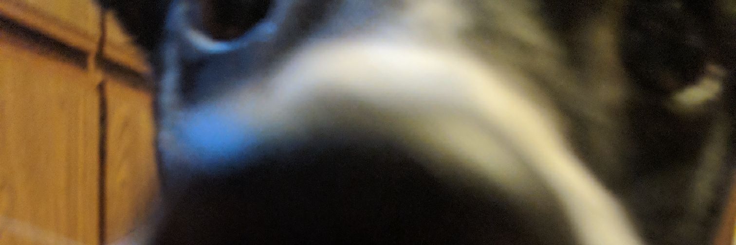 torimclaughlinn's profile banner image