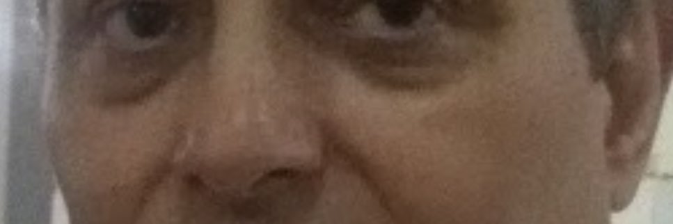 LeonardoMoser2's profile banner image