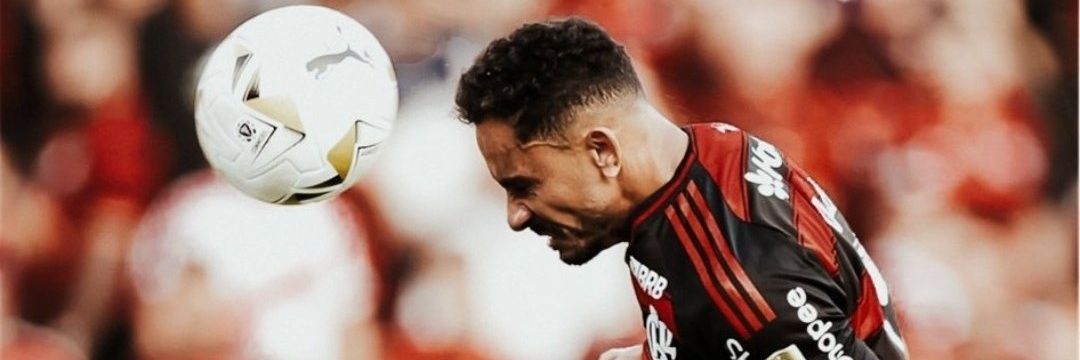LCouto7's profile banner image