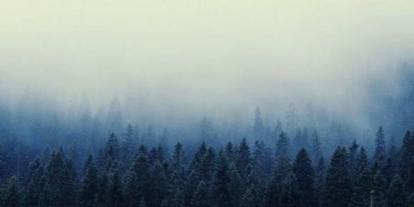 codyasmgdr's profile banner image