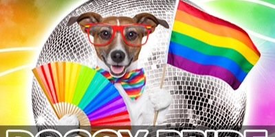 BowWowBakers's profile banner image