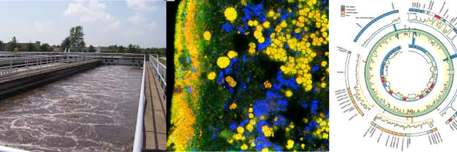 MIDAS Field Guide banner