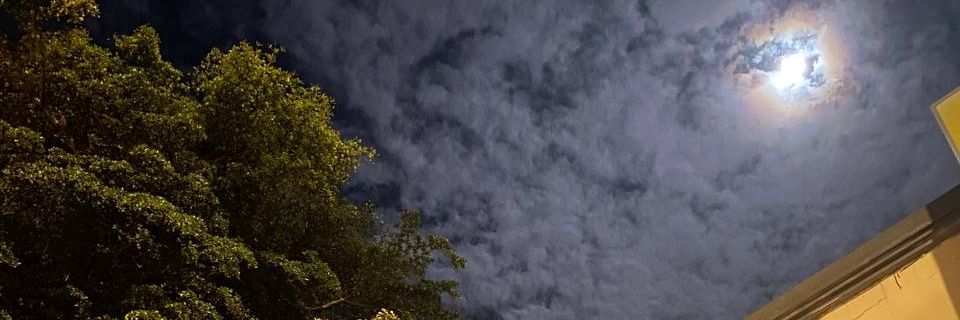 WarrenBMartinez's profile banner image