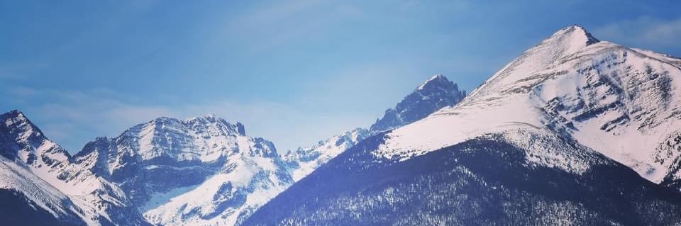 Heather_bear13's profile banner image