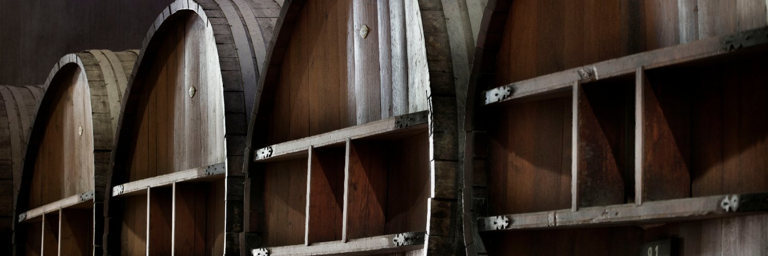 Bodegas de Argentina banner