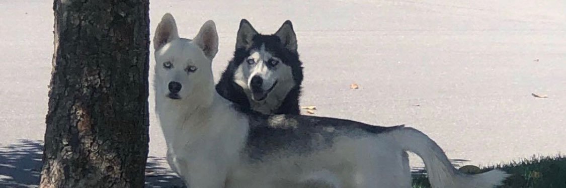 MiiikeyD's profile banner image