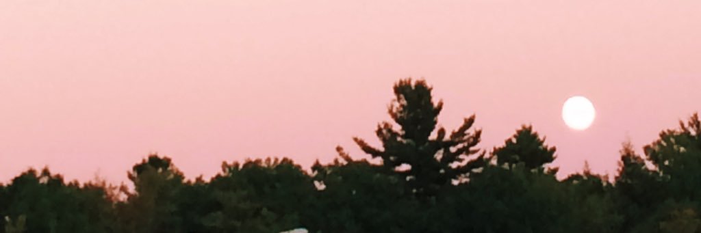 livlound's profile banner image
