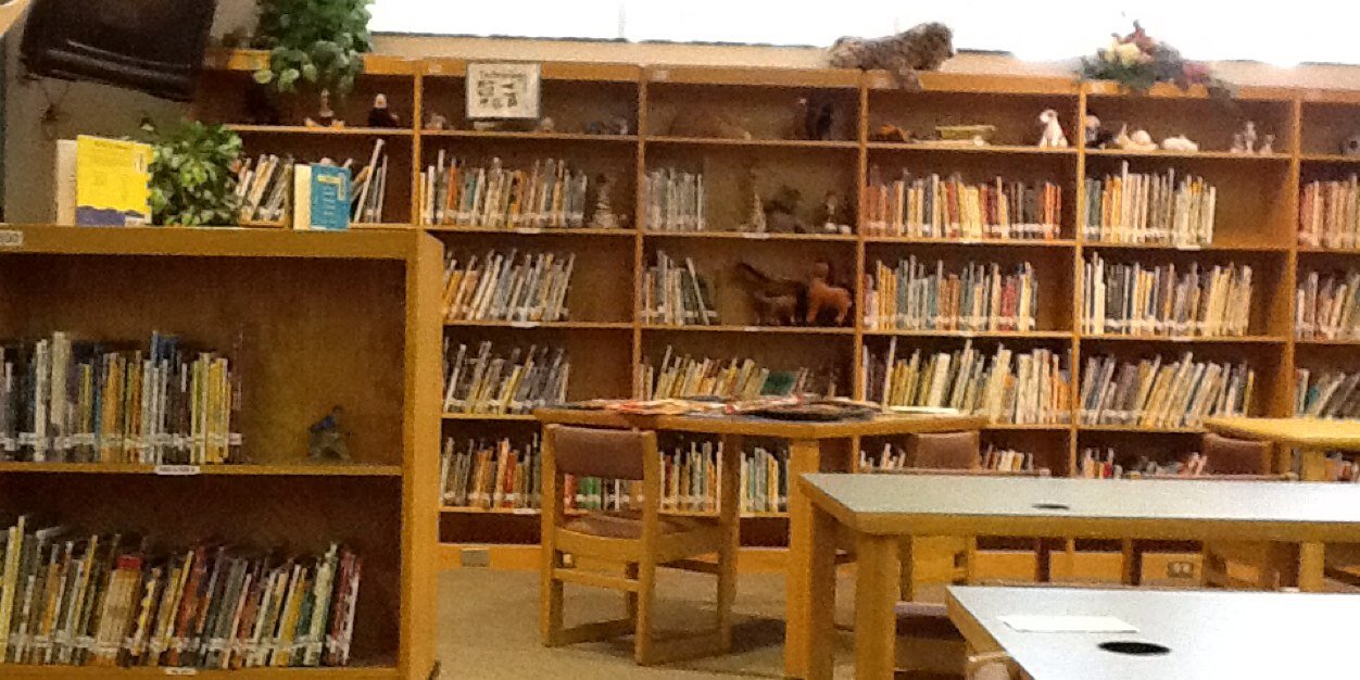 timberlibrary's profile banner image