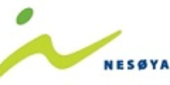 NesoyaG16's profile banner image