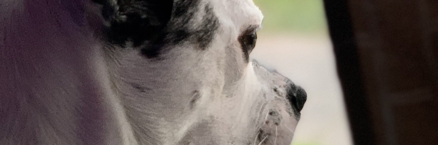 rrcesario's profile banner image