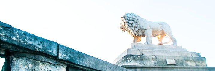 GaloreConsult's profile banner image