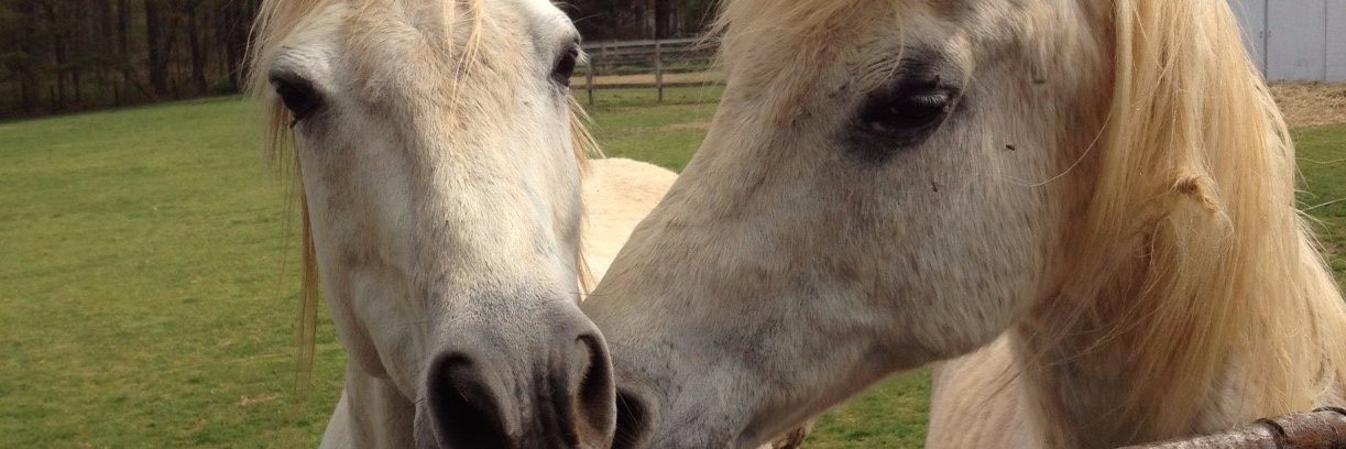 donkeyfarmer's profile banner image