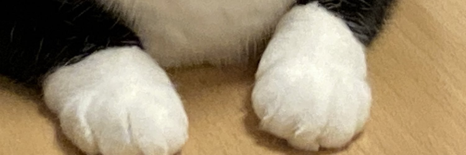 week_end_141's profile banner image