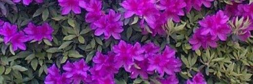 homeworks4407's profile banner image