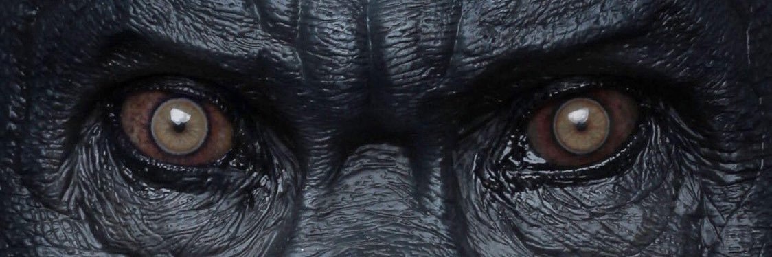 Yo_ticoooo's profile banner image