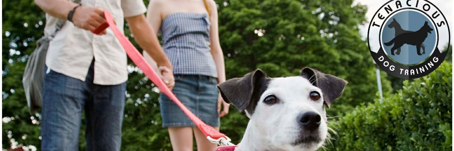 tenaciousdogs's profile banner image