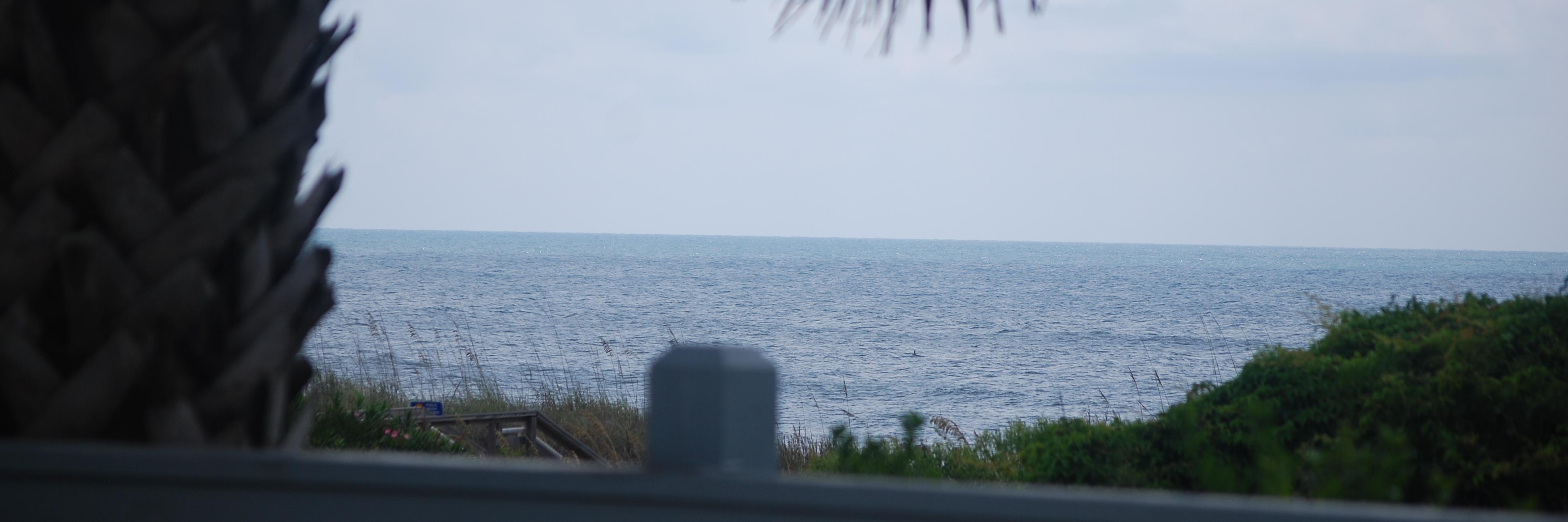 julsavage's profile banner image