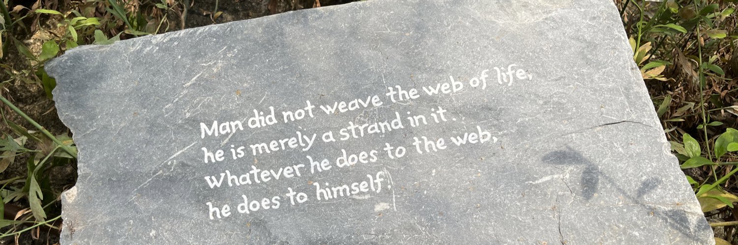 Paul Harrison, MBA, FRGS banner