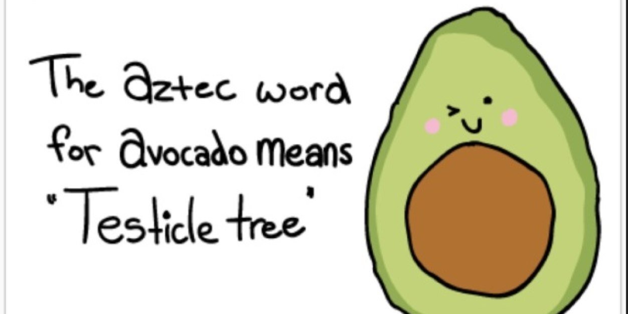 average_avocado's profile banner image