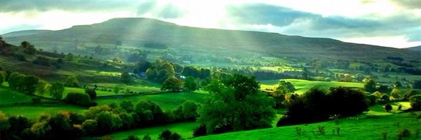 BooneW Profile Banner