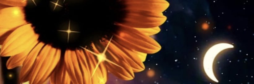 MsGoddesslove's profile banner image