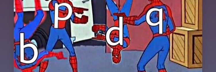 pipirisnvis's profile banner image