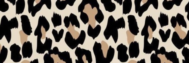EmsLima_'s profile banner image