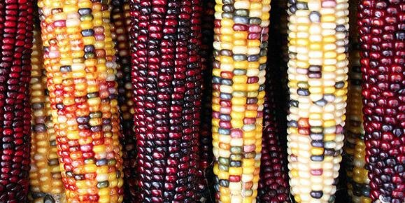 Keeping up with TEs banner