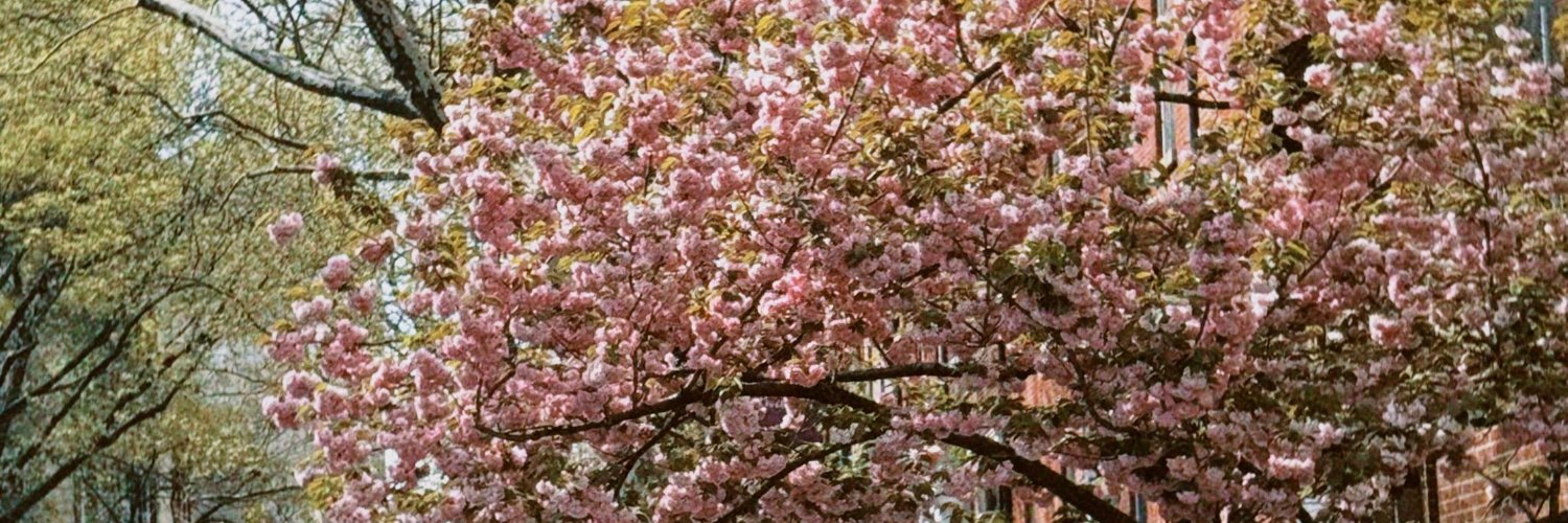 pm46112's profile banner image