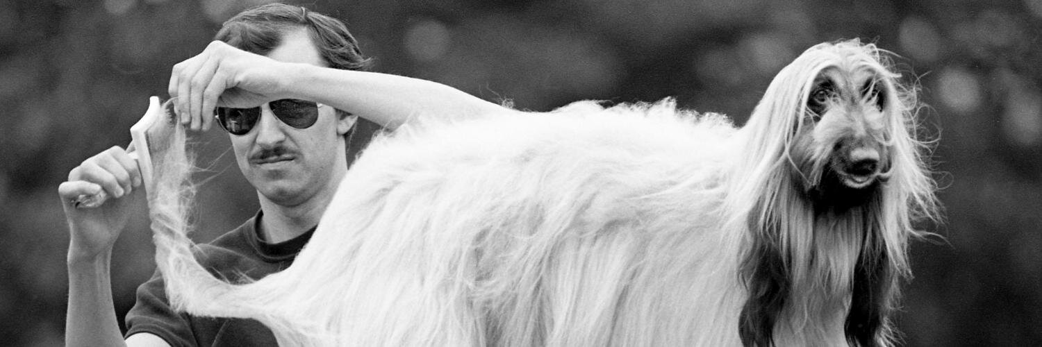 RickyRogers53's profile banner image