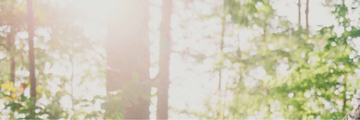 nashspriv's profile banner image