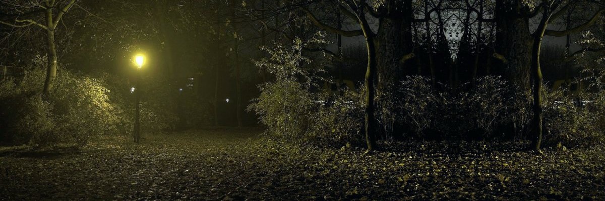 Any_Exa's profile banner image