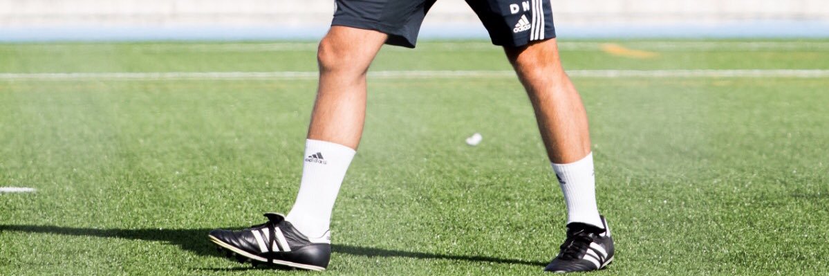 Diego Nogales banner