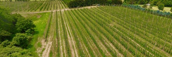 TavistockHopCo Profile Banner