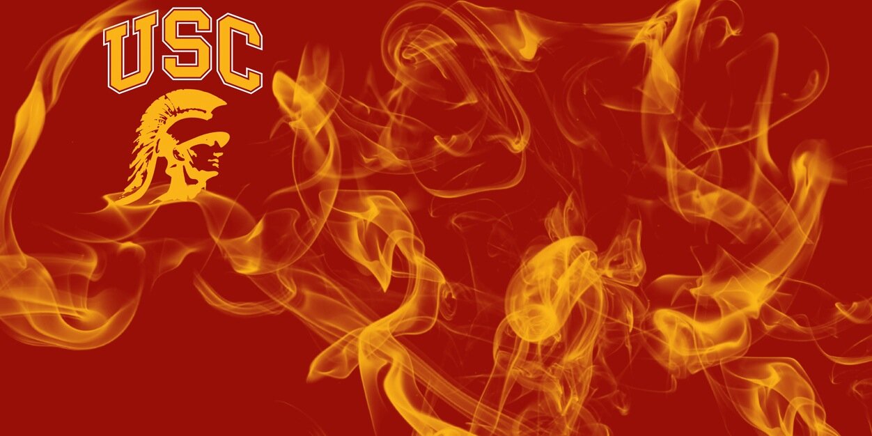 MegCollisDPT's profile banner image